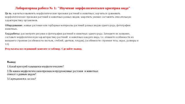 Лабораторная работа № 1: 