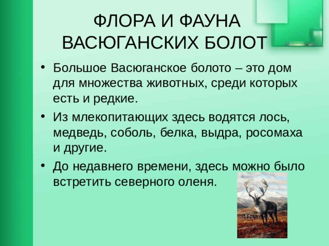 Какова важнейшая функция васюганских болот