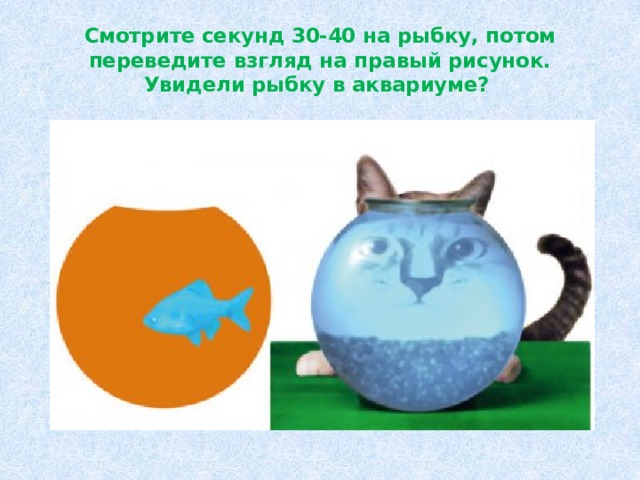Смотрите секунд 30-40 на рыбку, потом переведите взгляд на правый рисунок. Увидели рыбку в аквариуме? 