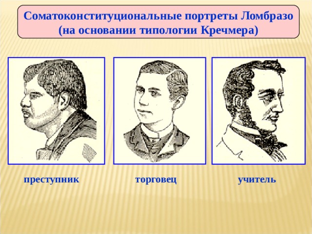 Соматоконституциональные портреты Ломбразо (на основании типологии Кречмера) преступник торговец учитель 