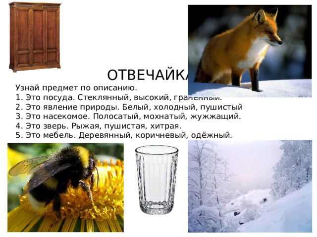 ОТВЕЧАЙКА Узнай предмет по описанию. 1. Это посуда. Стеклянный, высокий, гранённый. 2. Это явление природы. Белый, холодный, пушистый 3. Это насекомое. Полосатый, мохнатый, жужжащий. 4. Это зверь. Рыжая, пушистая, хитрая. 5. Это мебель. Деревянный, коричневый, одёжный. 