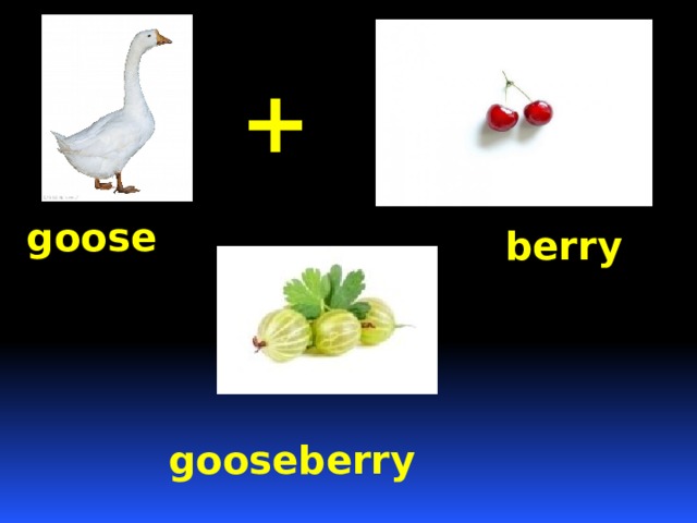 + goose berry gooseberry 