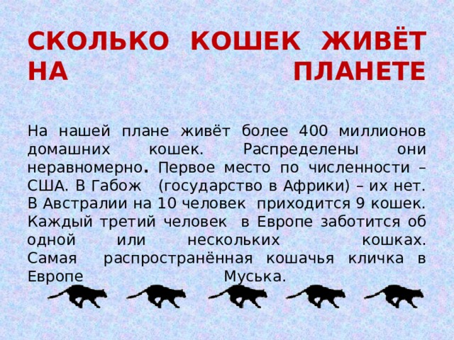 Сколько живет кот