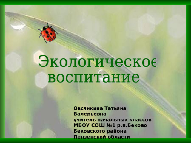 Овсянкина Татьяна Валерьевна учитель начальных классов МБОУ СОШ №1 р.п.Беково Бековского района Пензенской области  