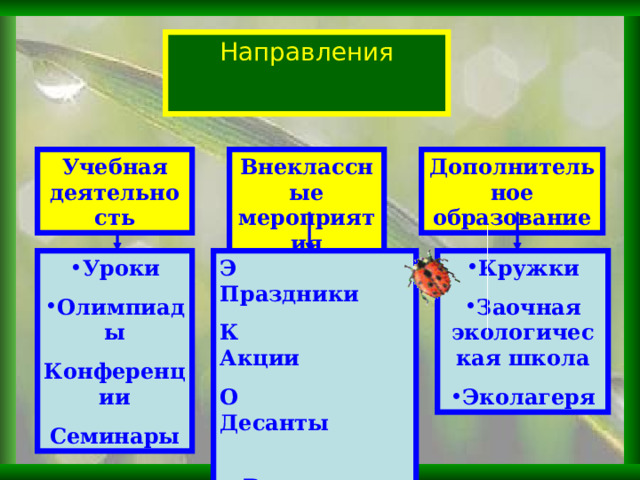 Направления Дополнительное образование Учебная деятельность Внеклассные мероприятия Уроки Олимпиады Э Праздники К  Акции О  Десанты  Викторины Пришк. участок Кружки Заочная экологическая школа Эколагеря Конференции Семинары 4 