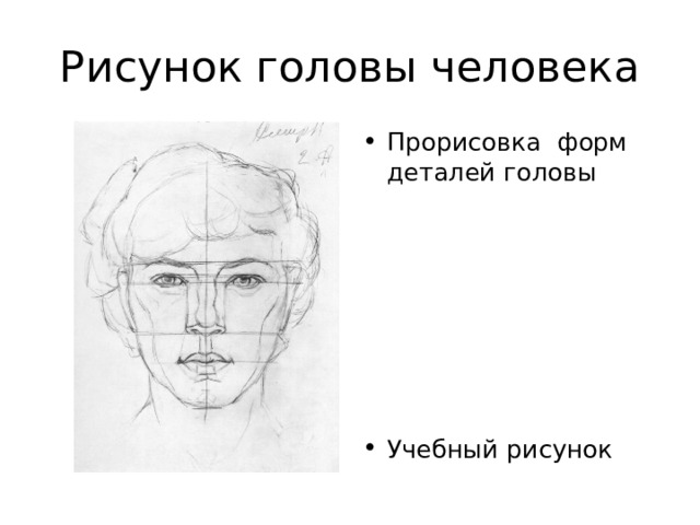 Изображение головы в пространстве 6 класс