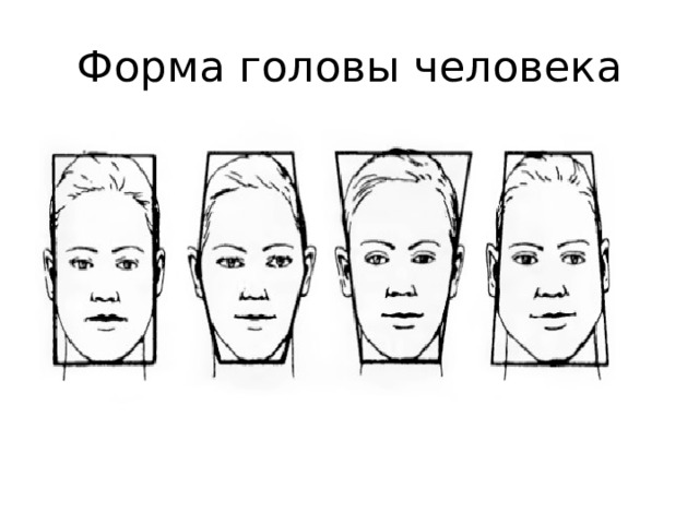 Изображение головы человека в пространстве 6 класс конспект урока