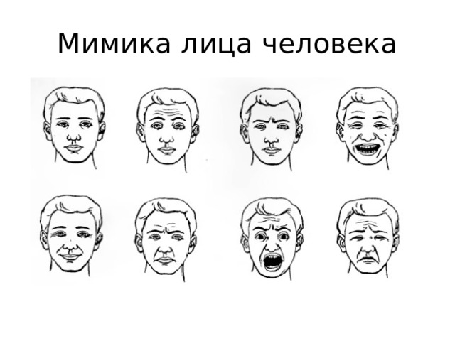 Изображение головы человека в пространстве 6 класс конспект урока