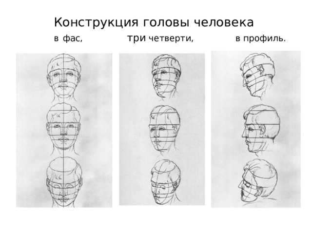 Изображение головы человека в пространстве 6 класс конспект урока