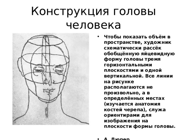 Изображение головы человека в пространстве 6 класс конспект урока