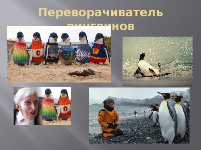 Переворачиватель пингвинов 