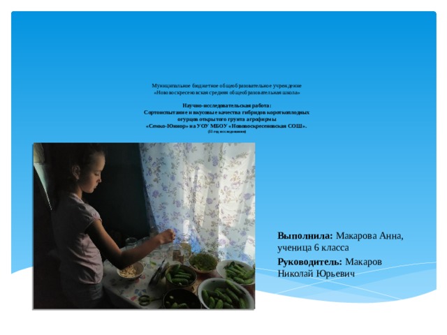 исследовательская работа сортоиспытание огурцов. Смотреть фото исследовательская работа сортоиспытание огурцов. Смотреть картинку исследовательская работа сортоиспытание огурцов. Картинка про исследовательская работа сортоиспытание огурцов. Фото исследовательская работа сортоиспытание огурцов