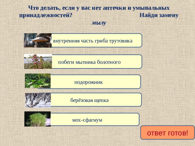 Что делать, если у вас нет аптечки и умывальных принадлежностей? Найди замену мылу  внутренняя часть гриба трутовика побеги мытника болотного подорожник берёзовая щепка мох-сфагнум ответ готов!  