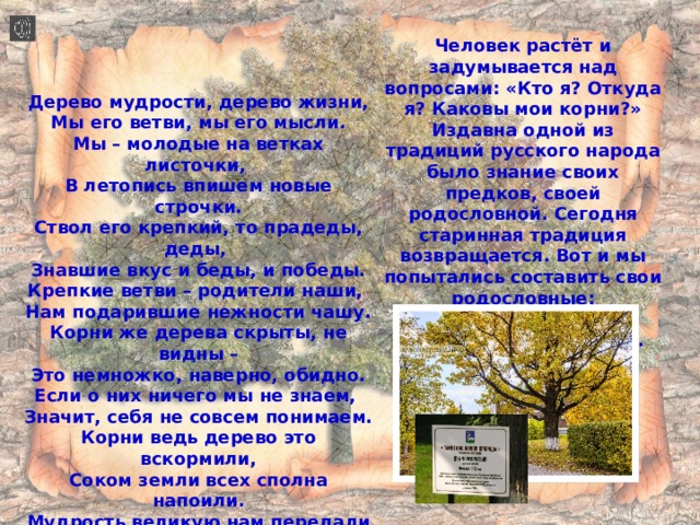 Человек растёт и задумывается над вопросами: «Кто я? Откуда я? Каковы мои корни?» Издавна одной из традиций русского народа было знание своих предков, своей родословной. Сегодня старинная традиция возвращается. Вот и мы попытались составить свои родословные: Родословное или Генеалогическое древо.  Дерево мудрости, дерево жизни, Мы его ветви, мы его мысли. Мы – молодые на ветках листочки, В летопись впишем новые строчки. Ствол его крепкий, то прадеды, деды, Знавшие вкус и беды, и победы. Крепкие ветви – родители наши, Нам подарившие нежности чашу. Корни же дерева скрыты, не видны – Это немножко, наверно, обидно. Если о них ничего мы не знаем, Значит, себя не совсем понимаем. Корни ведь дерево это вскормили, Соком земли всех сполна напоили. Мудрость великую нам передали – Жизнь продолжать, несмотря на печали! 