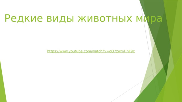 Редкие виды животных мира https:// www.youtube.com/watch?v=oQ7zwmHnF9c 