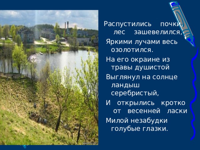 Распустились почки, лес зашевелился,  Яркими лучами весь озолотился.  На его окраине из травы душистой  Выглянул на солнце ландыш серебристый,  И открылись кротко от весенней ласки  Милой незабудки голубые глазки. 