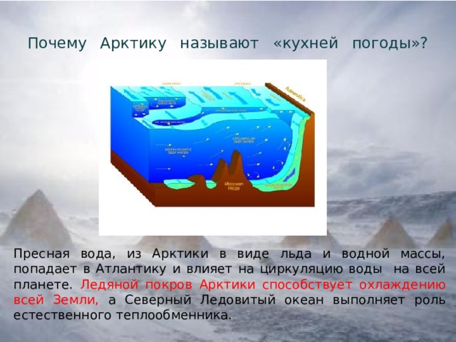 Почему Арктику называют «кухней погоды»?   Пресная вода, из Арктики в виде льда и водной массы, попадает в Атлантику и влияет на циркуляцию воды на всей планете. Ледяной покров Арктики способствует охлаждению всей Земли, а Северный Ледовитый океан выполняет роль естественного теплообменника. 