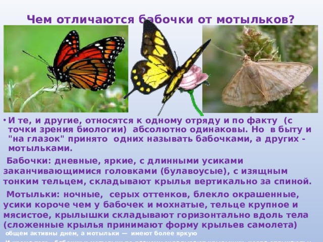 Чем отличаются бабочки от мотыльков? И те, и другие, относятся к одному отряду и по факту  (с точки зрения биологии)  абсолютно одинаковы. Но  в быту и 
