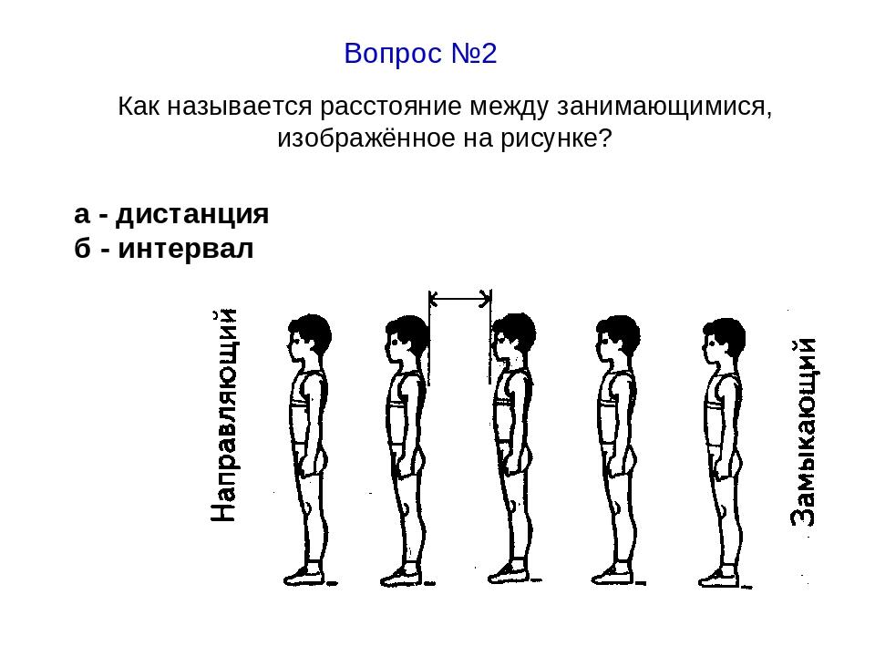 Назовите упражнение изображенное на рисунке