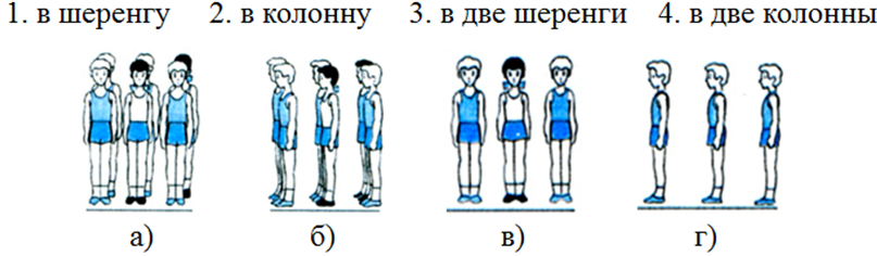 Строевые упражнения. Построение на уроке физкультуры схема. Построение в шеренгу и колонну. Построение в колонну. Построение в шеренгу на физкультуре