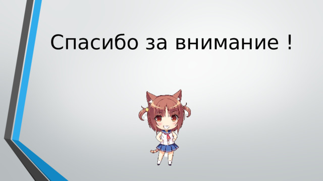 Спасибо за внимание ! 