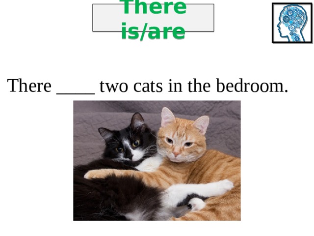 There is/are There ____ two cats in the bedroom. 