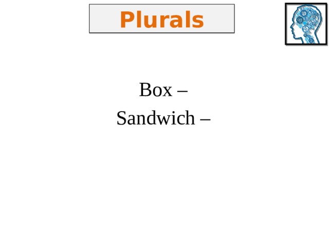 Plurals Box – Sandwich – 