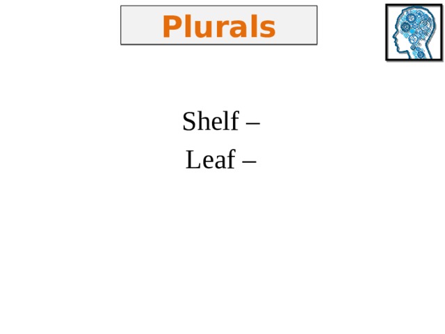 Plurals Shelf – Leaf – 