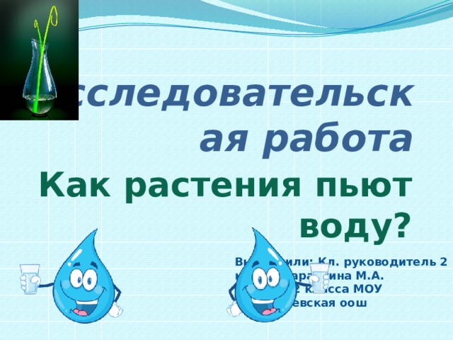 Детский исследовательский проект как пьют растения Как растения пьют воду?