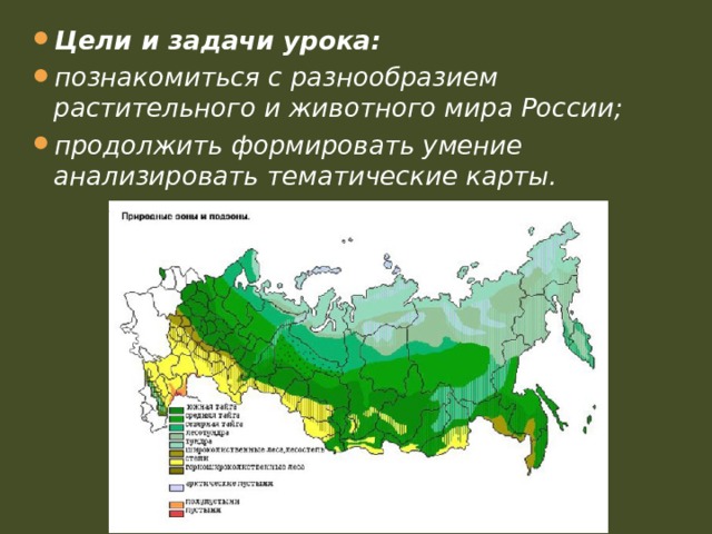 Цели и задачи урока: познакомиться с разнообразием растительного и животного мира России; продолжить формировать умение анализировать тематические карты. 