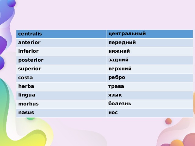 Латынь словарные формы. Inferior словарные формы с латинского. Латинский словарные формы inferior Superior. Nasus Словарная форма.