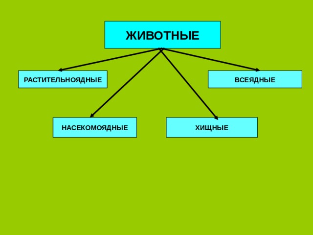 Таблица питания животных 3 класс окружающий мир - TouristMaps.ru