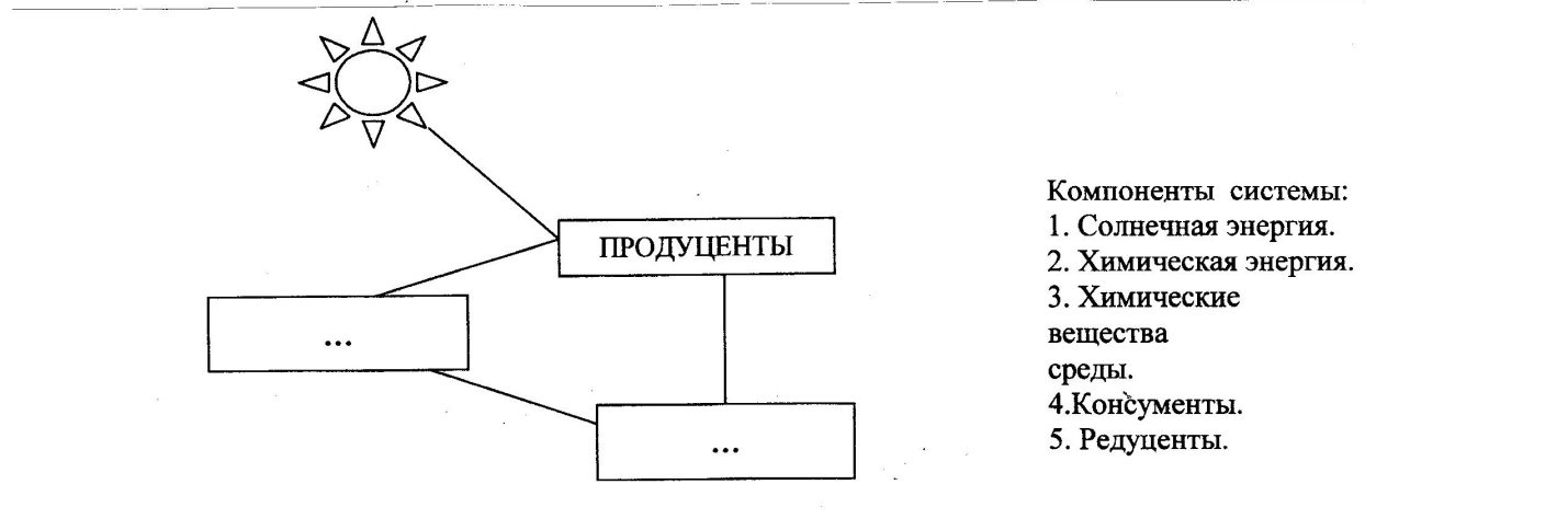 Составьте схему под. Составить схему передачи веществ и энергии и указать ее компоненты. Биологическое оружие схема.