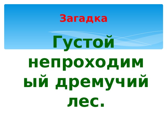 Загадка Густой непроходимый дремучий лес. 