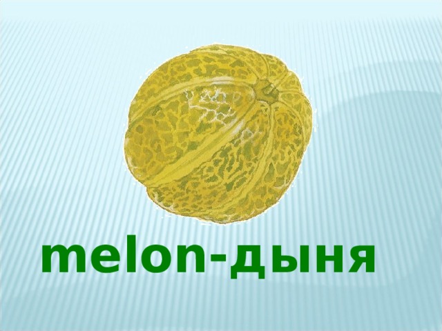 melon -дыня 