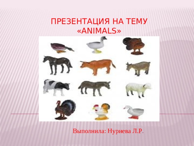 Презентация на тему  «Animals»   Выполнила: Нуриева Л.Р . 