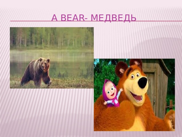  A Bear- медведь 