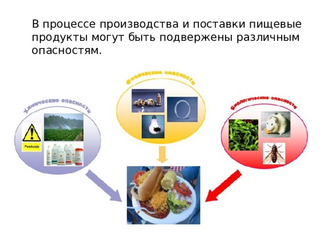 Технологии обработки и использования пищевых продуктов 8 класс презентация