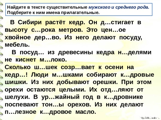 Найди имена существительные и прилагательные выбери из них такие которые подходят к схемам