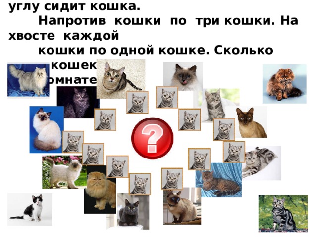  10 . В комнате четыре угла. В каждом углу сидит кошка.  Напротив кошки по три кошки. На хвосте каждой  кошки по одной кошке. Сколько всего кошек в  комнате?   