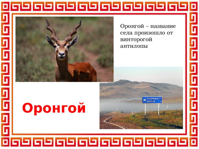 Оронгой – название села произошло от винторогой антилопы Оронгой 