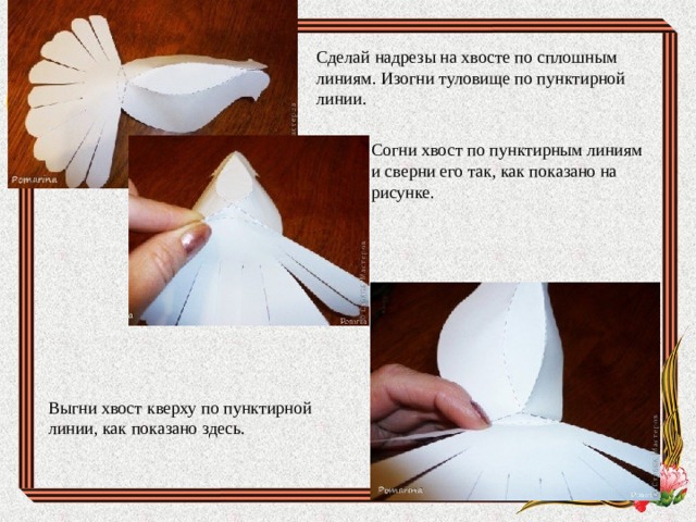 Сделай надрезы на хвосте по сплошным линиям. Изогни туловище по пунктирной линии. Согни хвост по пунктирным линиям и сверни его так, как показано на рисунке. Выгни хвост кверху по пунктирной линии, как показано здесь. 