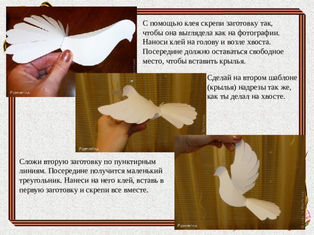 С помощью клея скрепи заготовку так, чтобы она выглядела как на фотографии. Наноси клей на голову и возле хвоста. Посередине должно оставаться свободное место, чтобы вставить крылья. Сделай на втором шаблоне (крылья) надрезы так же, как ты делал на хвосте. Сложи вторую заготовку по пунктирным линиям. Посередине получится маленький треугольник. Нанеси на него клей, вставь в первую заготовку и скрепи все вместе. 