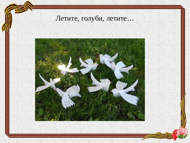 Летите, голуби, летите… 