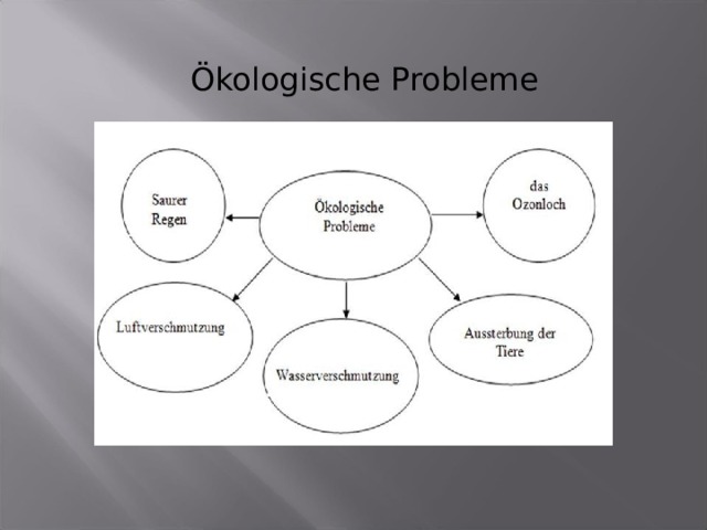 Ökologische Probleme 