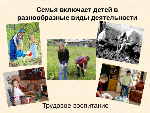 Семья включает детей в разнообразные виды деятельности Трудовое воспитание 