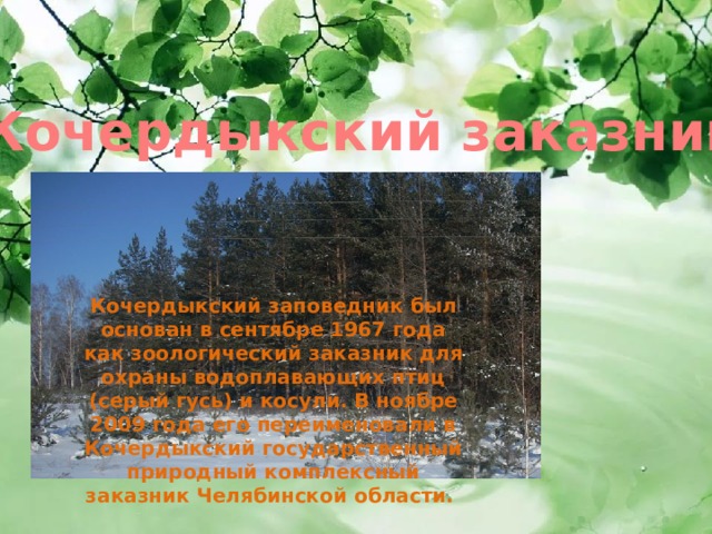 Кочердыкский заказник Кочердыкский заповедник был основан в сентябре 1967 года как зоологический заказник для охраны водоплавающих птиц (серый гусь) и косули. В ноябре 2009 года его переименовали в Кочердыкский государственный природный комплексный заказник Челябинской области.  