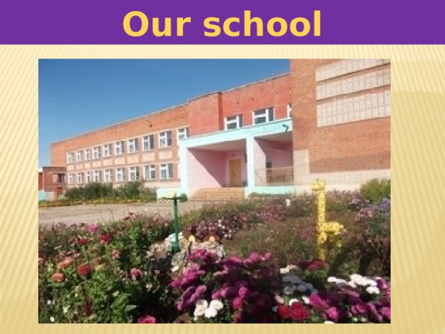 Our school 