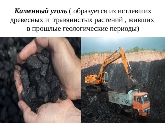 Каменный уголь ( образуется из истлевших древесных и травянистых растений , живших в прошлые геологические периоды) 