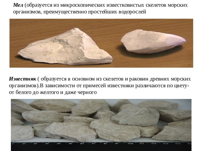  Мел (образуется из микроскопических известковистых скелетов морских  организмов, преимущественно простейших водорослей Известняк ( образуется в основном из скелетов и раковин древних морских организмов).В зависимости от примесей известняки различаются по цвету- от белого до желтого и даже черного 